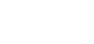 NetView CORE Plus Logo