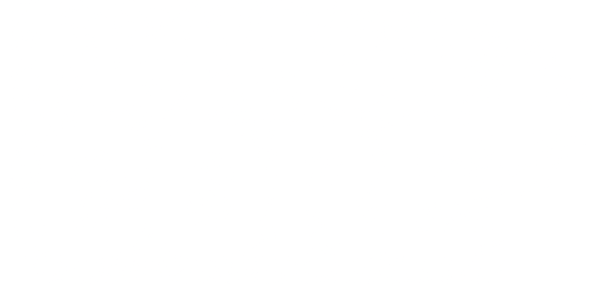 NetView CORE Plus Logo